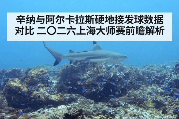 辛纳与阿尔卡拉斯硬地接发球数据对比 二〇二六上海大师赛前瞻解析